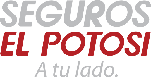 Cotiza tu seguro en EL POTOSI