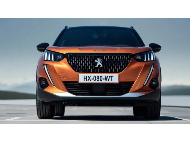 Libro Azul Peugeot 2008 2023