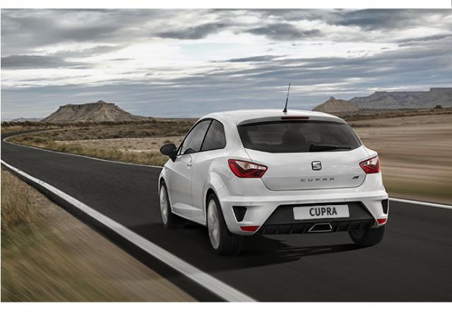 Libro Azul Seat Ibiza 2015