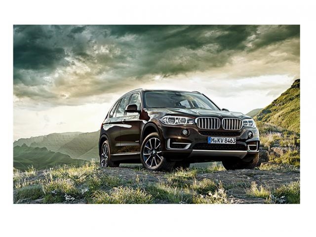 Libro Azul BMW X5 2015