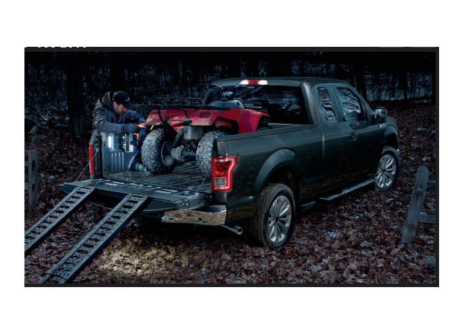 Libro Azul Ford F-150 2015