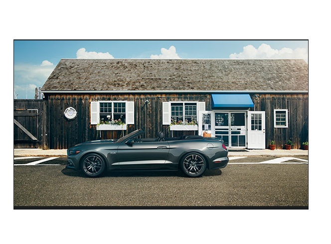 Libro Azul Ford Mustang 2015