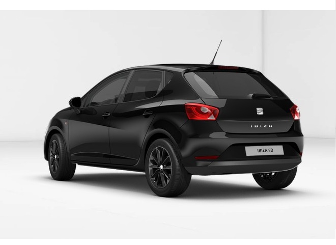 Libro Azul Seat Ibiza 2015
