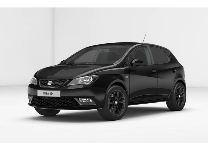 Libro Azul Seat Ibiza 2015