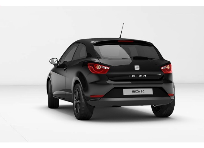 Libro Azul Seat Ibiza 2015