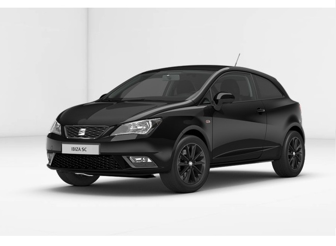 Libro Azul Seat Ibiza 2015