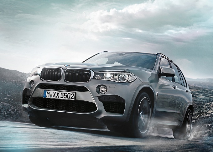 Libro Azul BMW X5 2015