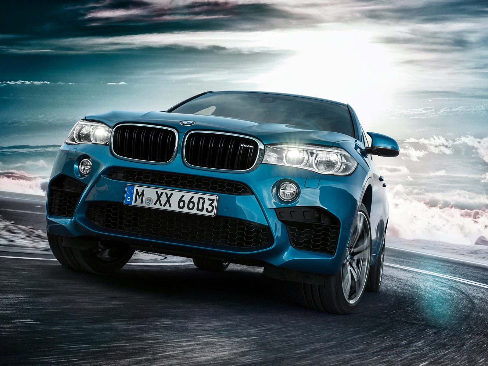 Libro Azul BMW X6 2016