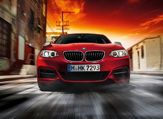 Libro Azul BMW Serie 2 2016