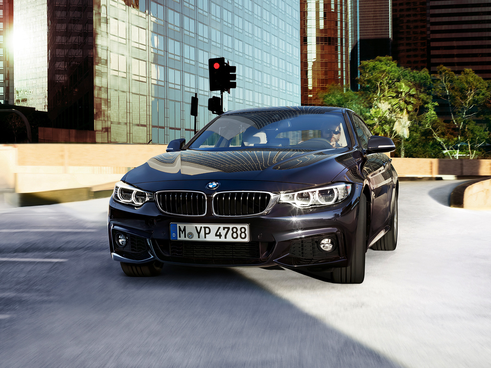 Libro Azul BMW Serie 4 2016