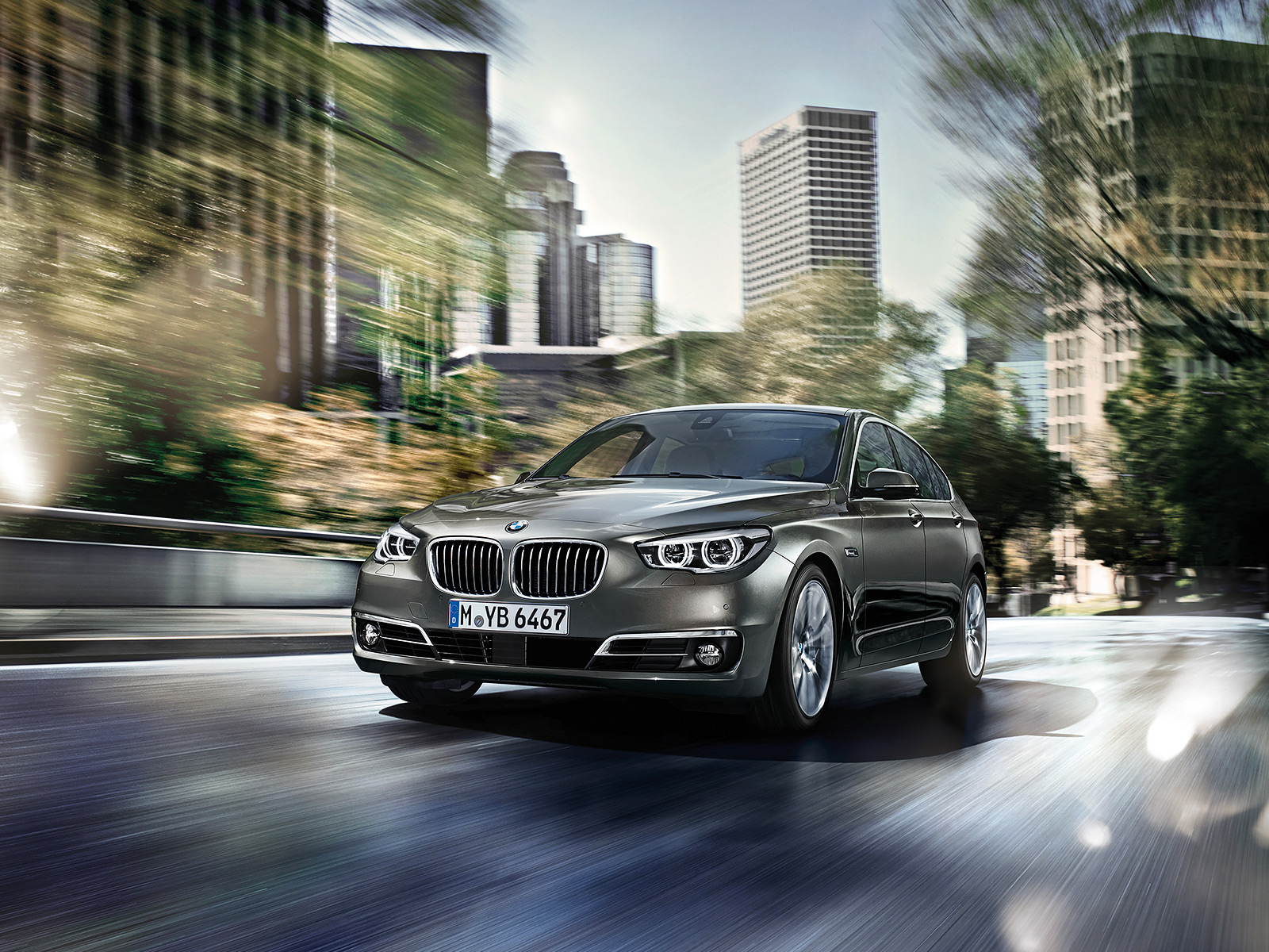 Libro Azul BMW Serie 5 2016