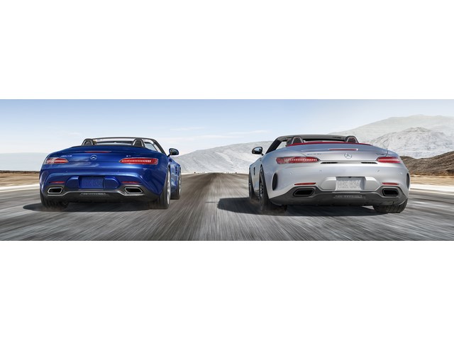 Libro Azul Mercedes Benz AMG GT 2020