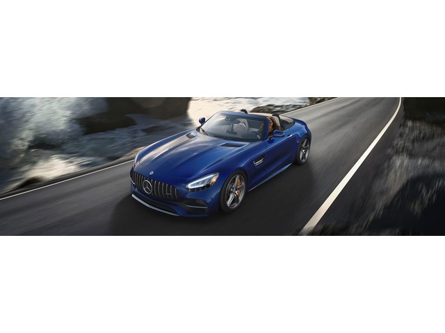 Libro Azul Mercedes Benz AMG GT 2020