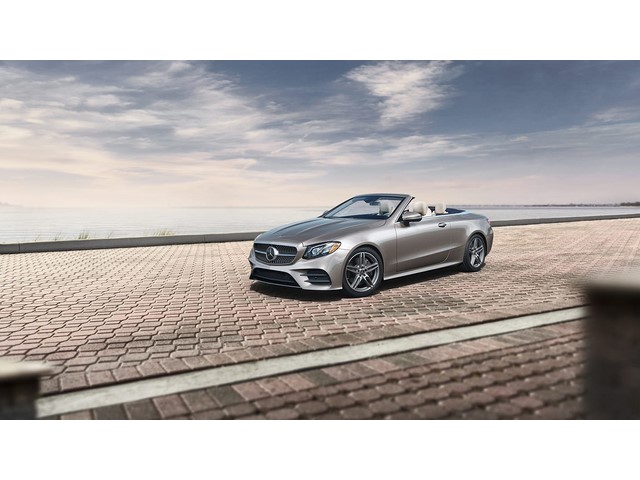 Libro Azul Mercedes Benz Clase E 2020