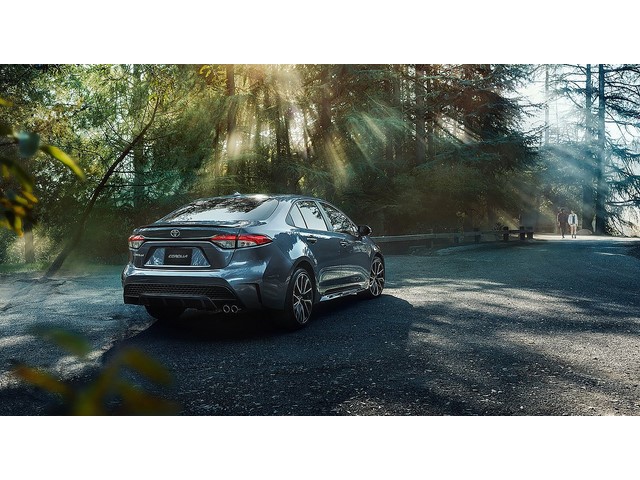 Libro Azul Toyota Corolla 2020