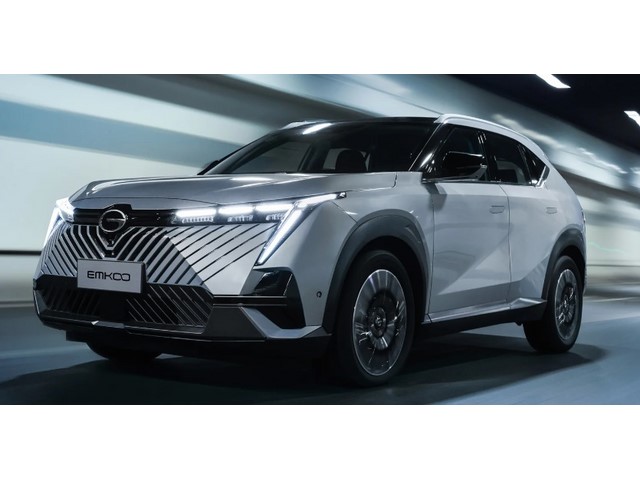 Libro Azul Gac Motor Emkoo 2025