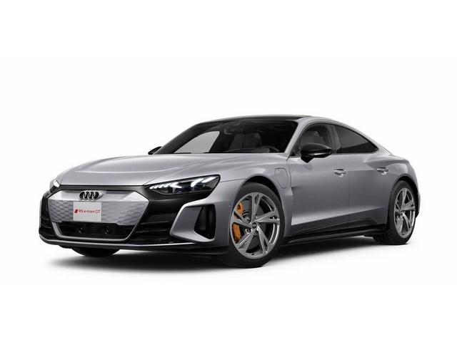 Libro Azul Audi e-tron 2024