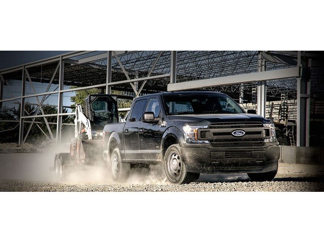Libro Azul Ford F-150 2020