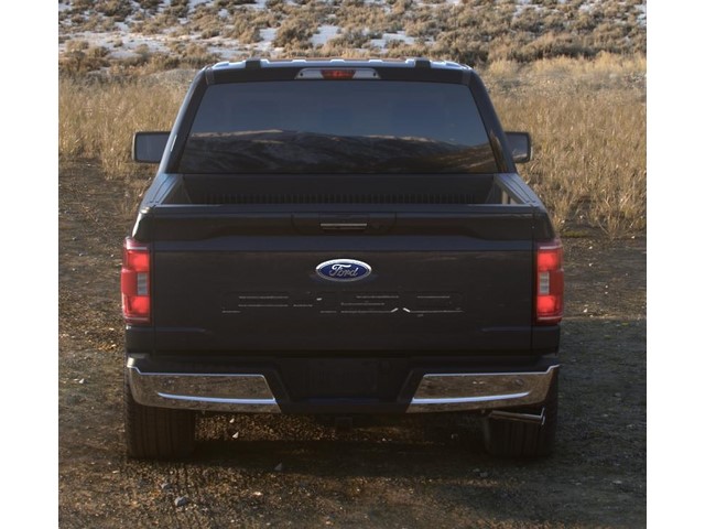 Libro Azul Ford F-150 2021
