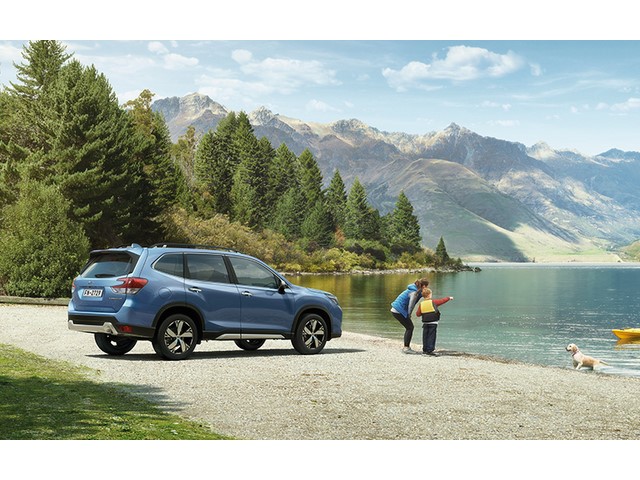 Libro Azul Subaru Forester 2019