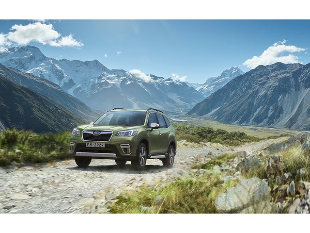 Libro Azul Subaru Forester 2019