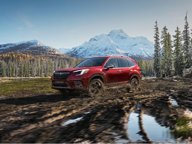 Libro Azul Subaru Forester 2022