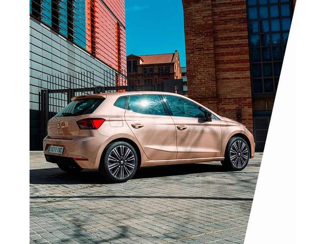 Libro Azul Seat Ibiza 2019