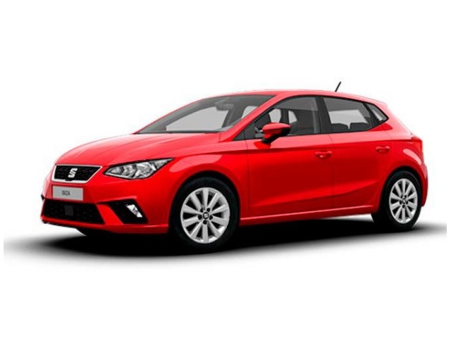 Libro Azul Seat Ibiza 2019