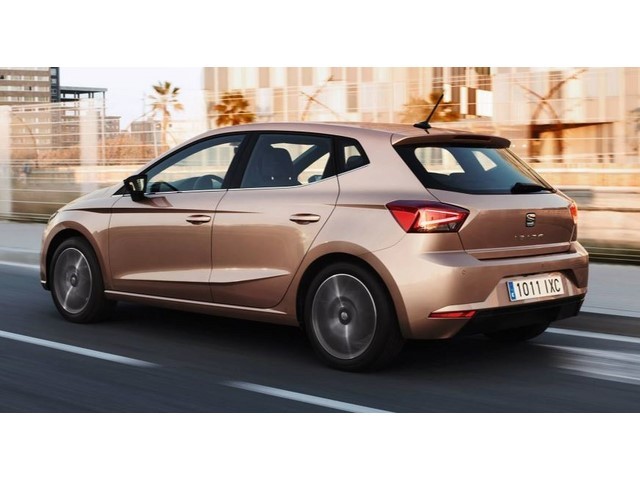 Libro Azul Seat Ibiza 2021