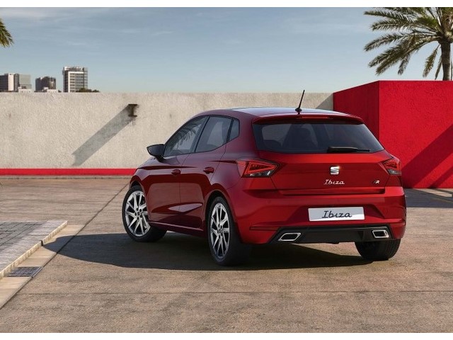 Libro Azul Seat Ibiza 2022