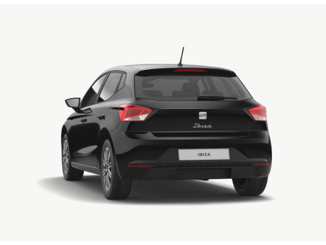 Libro Azul Seat Ibiza 2024