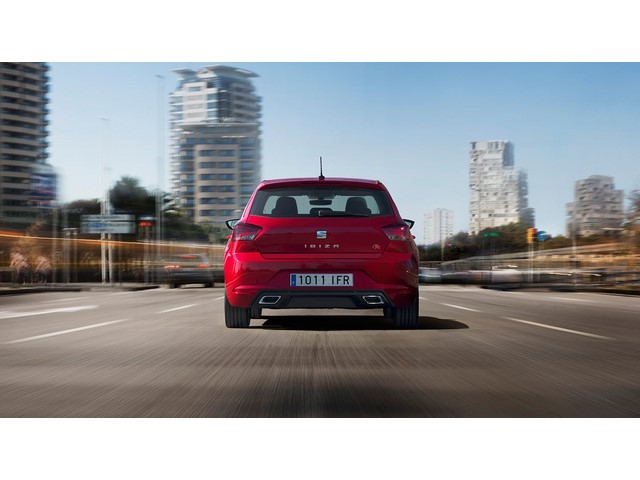 Libro Azul Seat Ibiza 2018