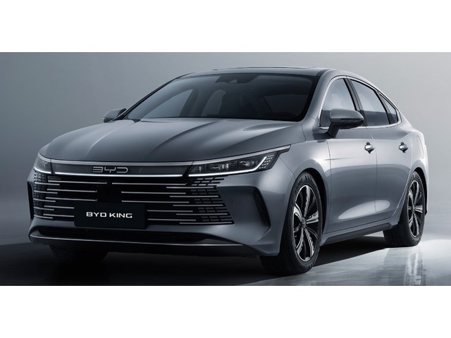 Libro Azul BYD King 2024