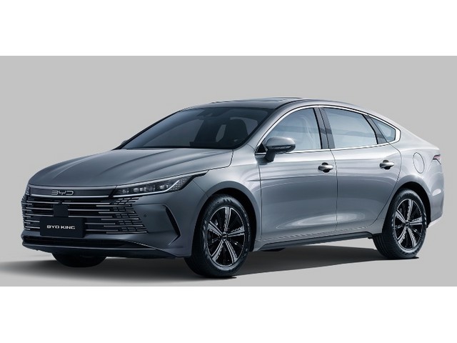 Libro Azul BYD King 2026