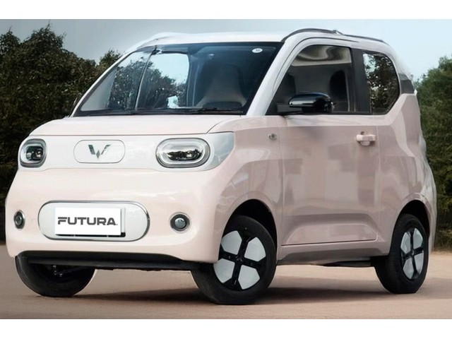 Libro Azul Wuling Mini EV 2025