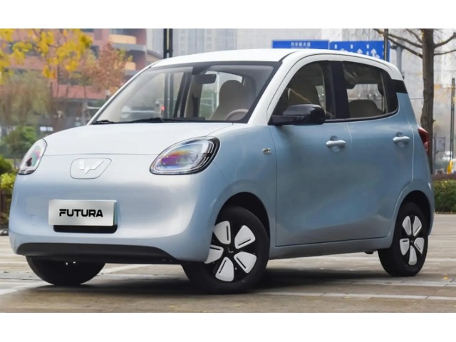 Libro Azul Wuling Mini EV 2025