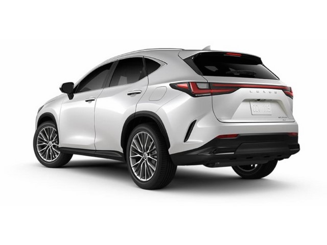 Libro Azul Lexus NX 2023