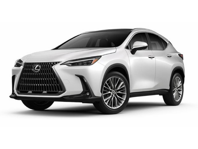 Libro Azul Lexus NX 2023