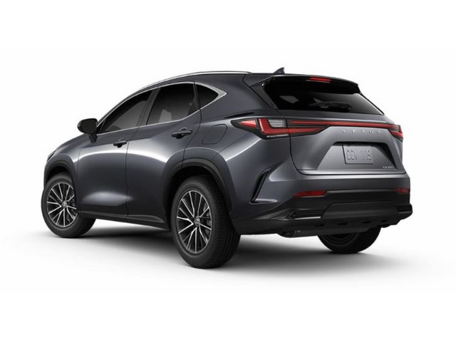 Libro Azul Lexus NX 2024