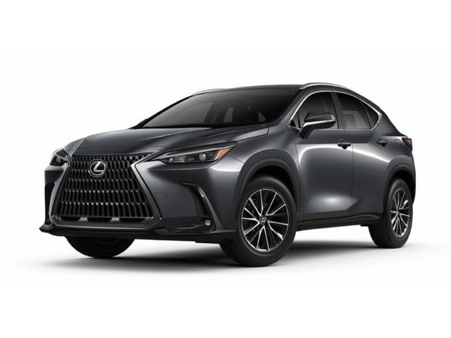 Libro Azul Lexus NX 2024