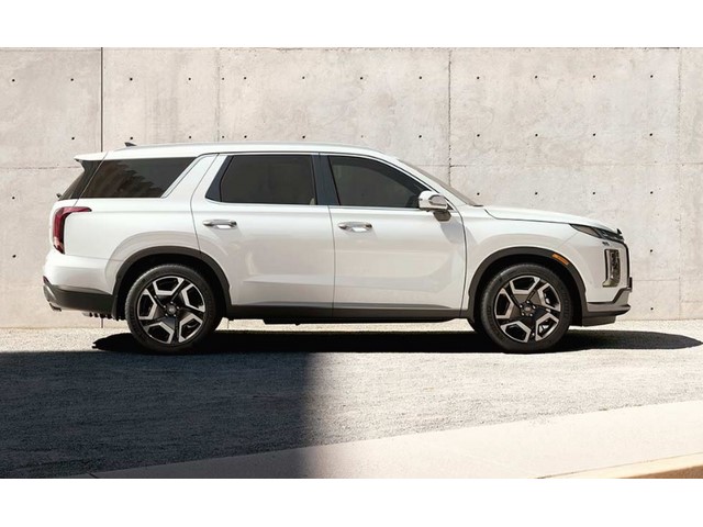 Libro Azul Hyundai Palisade 2024