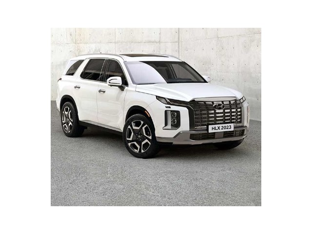 Libro Azul Hyundai Palisade 2024