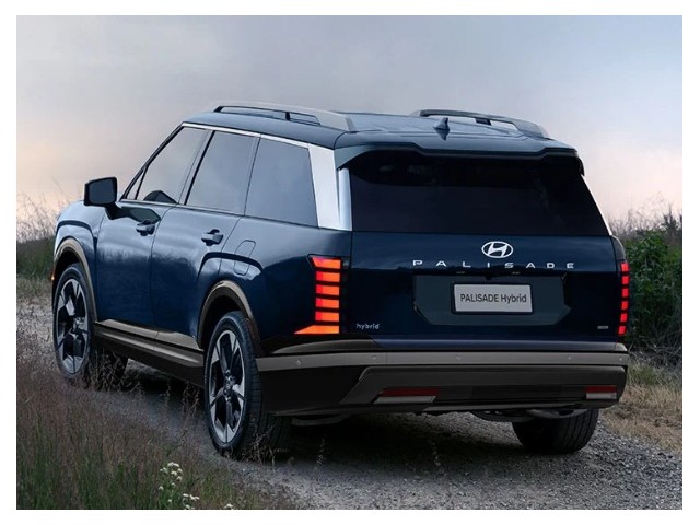 Libro Azul Hyundai Palisade 2026