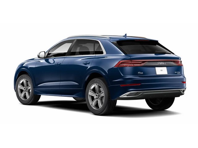 Libro Azul Audi Q8 2023