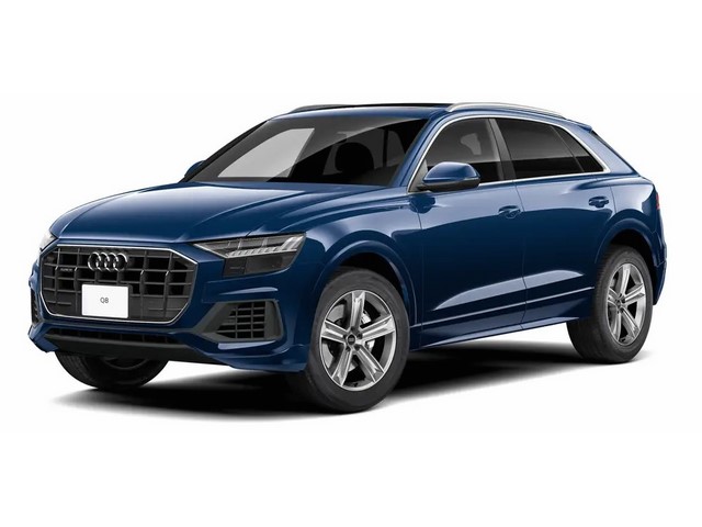 Libro Azul Audi Q8 2023