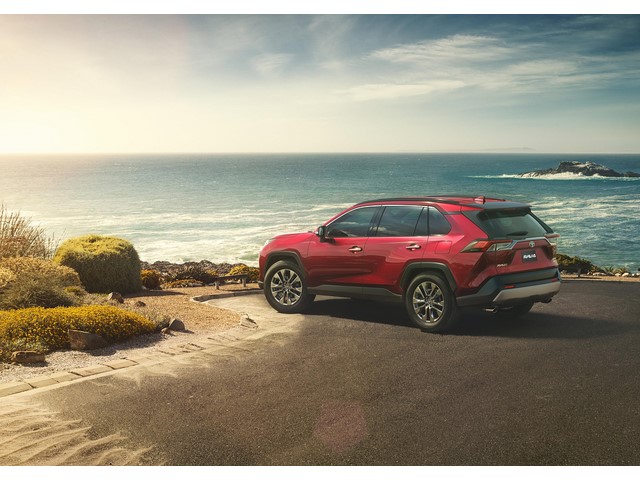 Libro Azul Toyota RAV4 2019