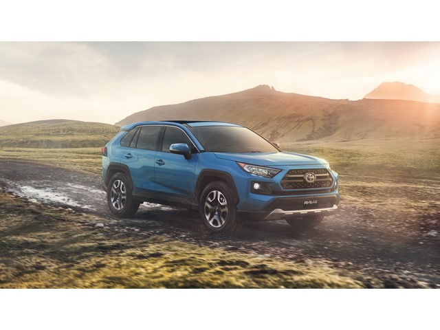 Libro Azul Toyota RAV4 2019
