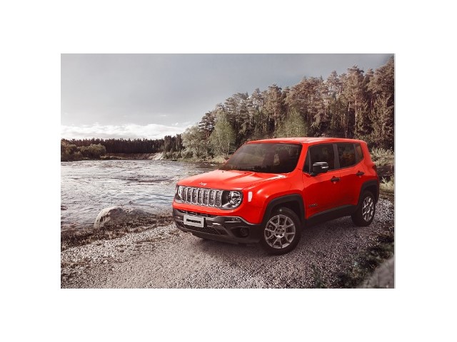 Libro Azul Jeep Renegade 2020