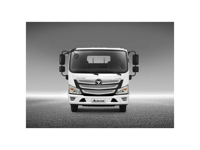 Libro Azul Foton S5 2025