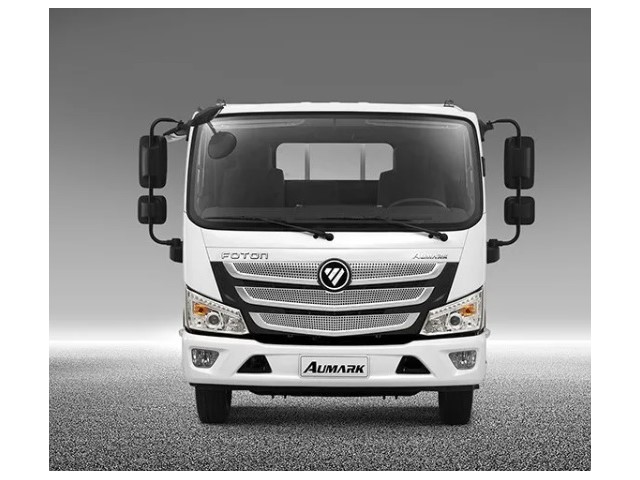 Libro Azul Foton S6 2025